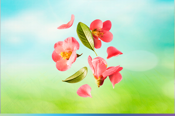 Olhos na Primavera: 4 Cuidados Essenciais para Proteger Sua Visão